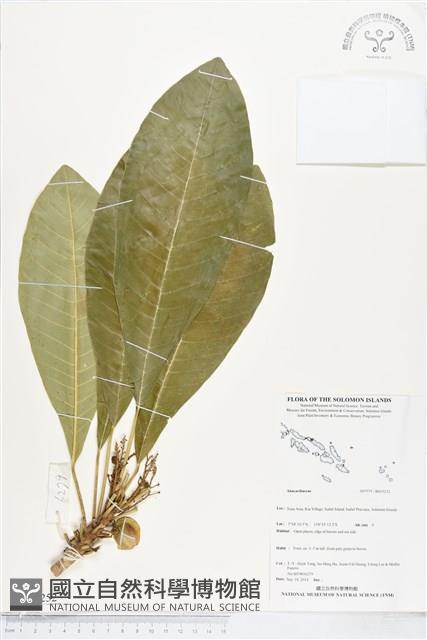 登錄號:BS05252藏品圖，第1張