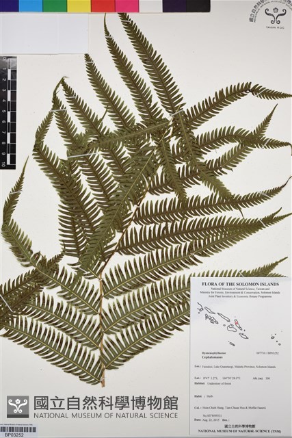 登錄號:BP03252藏品圖，第1張