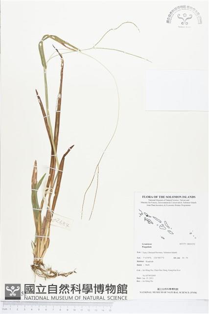 登錄號:BS03252藏品圖，第1張