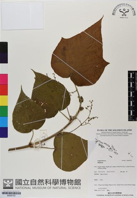 登錄號:BS06752藏品圖，第1張