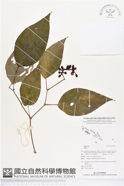 登錄號:BS02752藏品圖，第1張