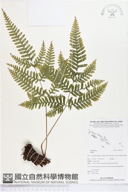 登錄號:BP00752藏品圖，第1張