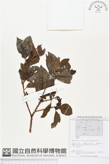 登錄號:BS01752藏品圖，第1張