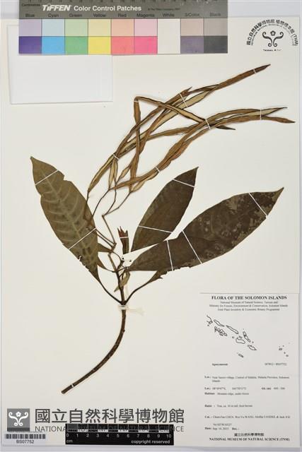 登錄號:BS07752藏品圖，第1張