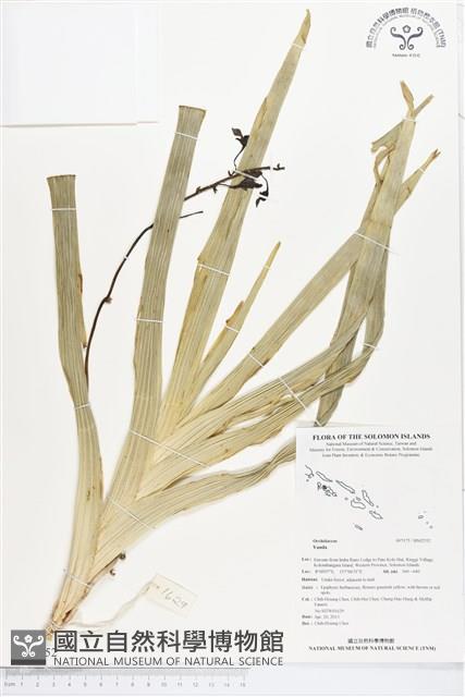 登錄號:BS02552藏品圖，第1張