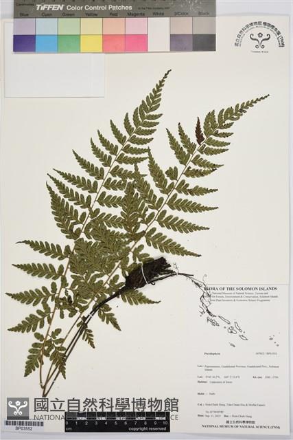 登錄號:BP03552藏品圖，第1張