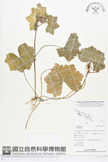 登錄號:BS01952藏品圖，第1張