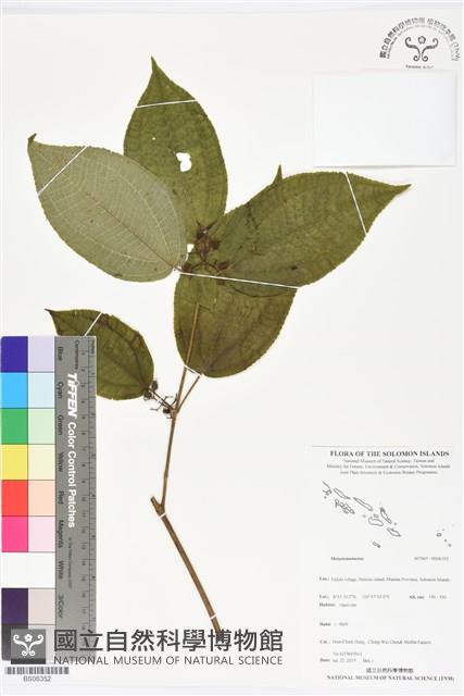 登錄號:BS06352藏品圖，第1張