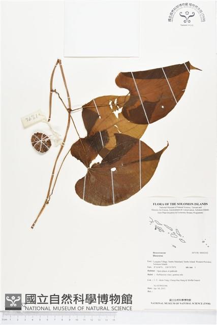 登錄號:BS02352藏品圖，第1張