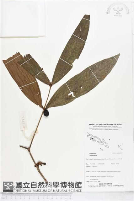 登錄號:BS05352藏品圖，第1張