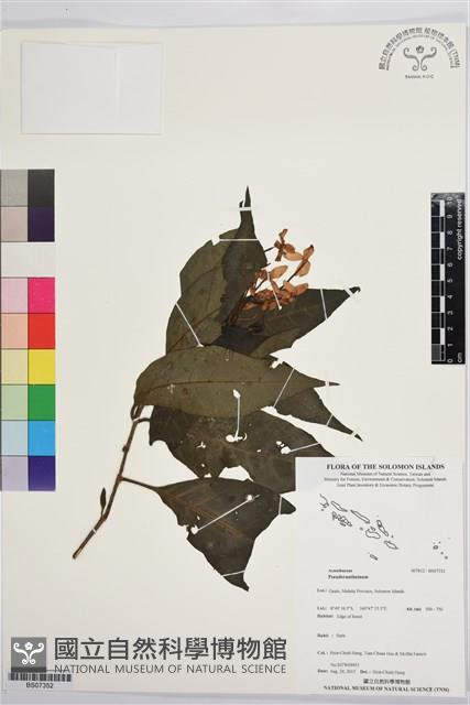 Accession Number:BS07352 Collection Image