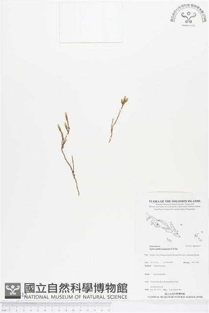 登錄號:BS01812藏品圖，第1張