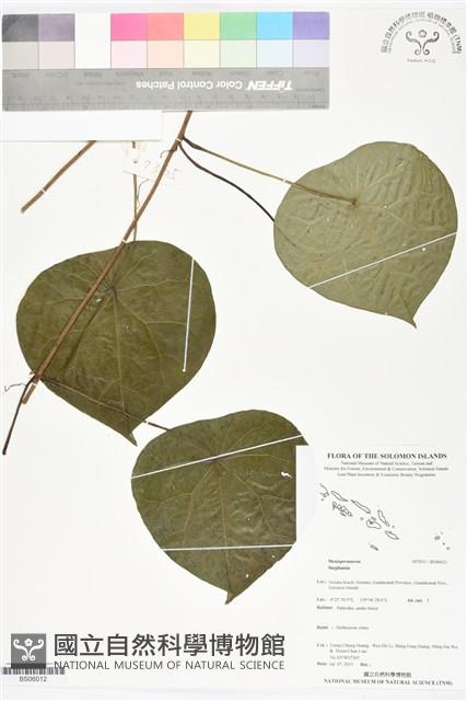 登錄號:BS06012藏品圖，第1張