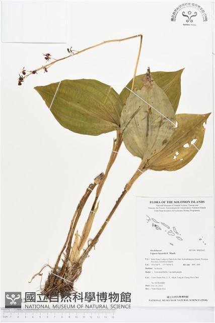 登錄號:BS02012藏品圖，第1張