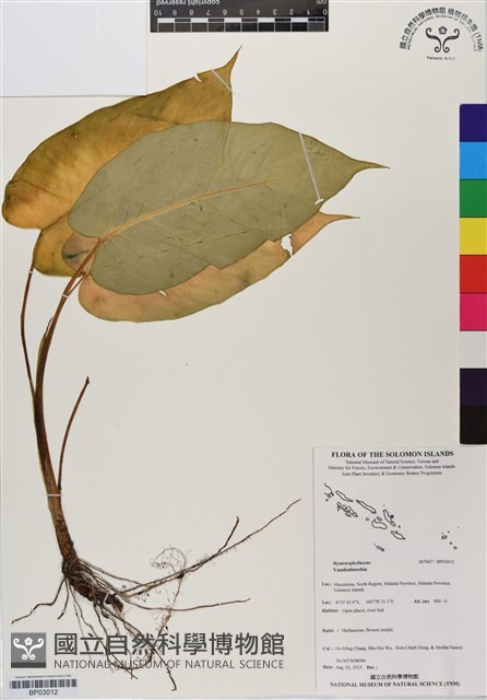 登錄號:BP03012藏品圖，第1張