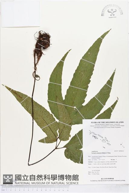 登錄號:BP00612藏品圖，第1張