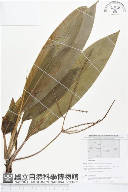 登錄號:BS01612藏品圖，第1張