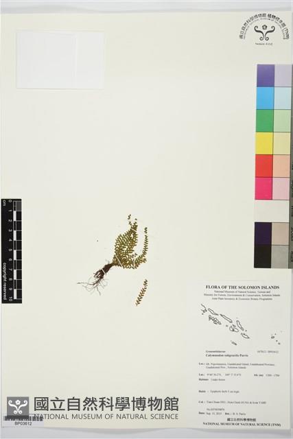 登錄號:BP03612藏品圖，第1張