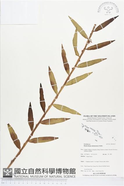 登錄號:BS03612藏品圖，第1張