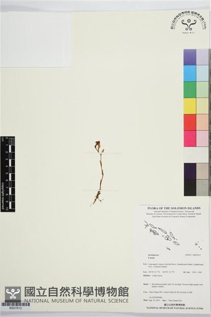 登錄號:BS07612藏品圖，第1張