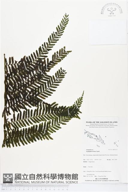 登錄號:BP02112藏品圖，第1張