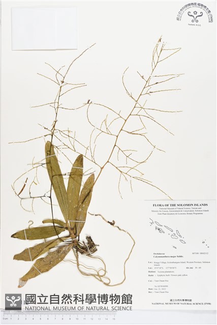 登錄號:BS02112藏品圖，第1張