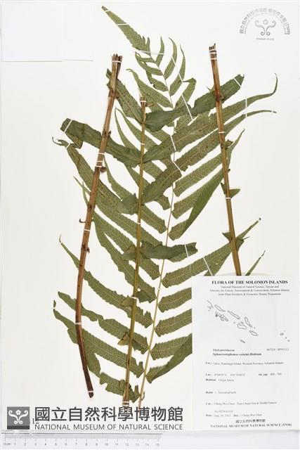 登錄號:BP01112藏品圖，第1張