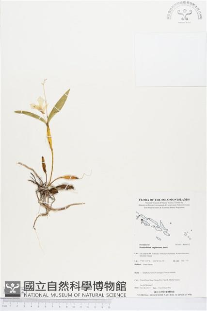 登錄號:BS04112藏品圖，第1張