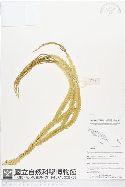 登錄號:BP02412藏品圖，第1張