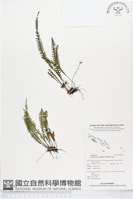 登錄號:BP00412藏品圖，第1張