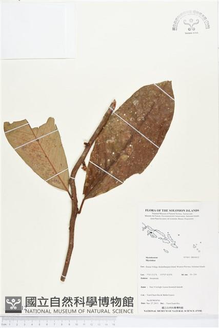 登錄號:BS04412藏品圖，第1張