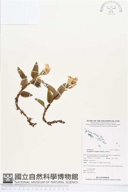 登錄號:BS03412藏品圖，第1張