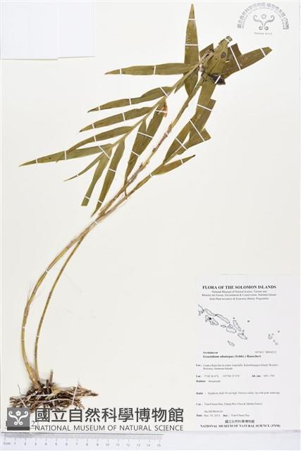 登錄號:BS04212藏品圖，第1張