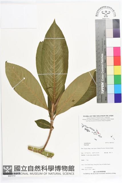 登錄號:BS07212藏品圖，第1張