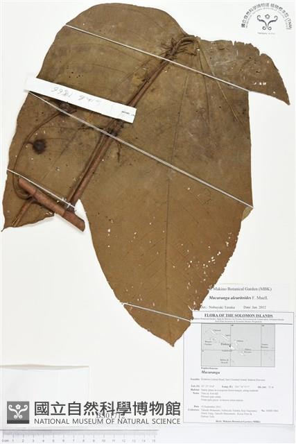 Accession Number:BS01712 Collection Image