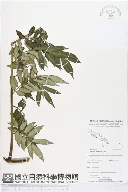 登錄號:BP01512藏品圖，第1張