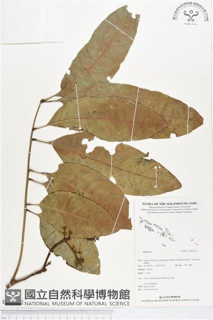 登錄號:BS01512藏品圖，第1張