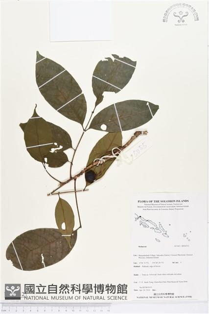 登錄號:BS04512藏品圖，第1張