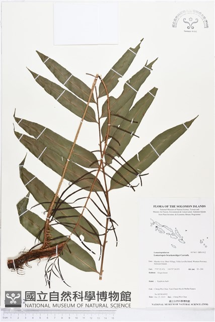 登錄號:BP01912藏品圖，第1張