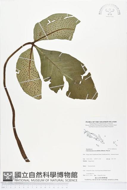 登錄號:BP02312藏品圖，第1張