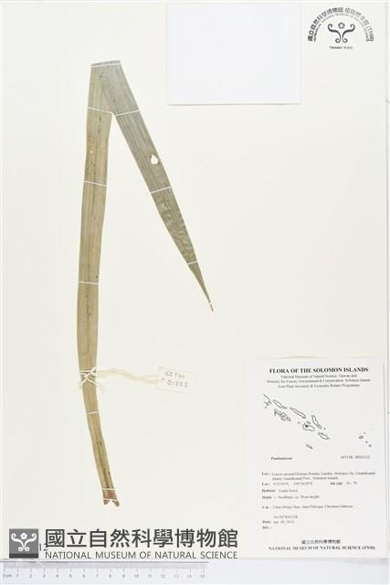 登錄號:BS02312藏品圖，第1張