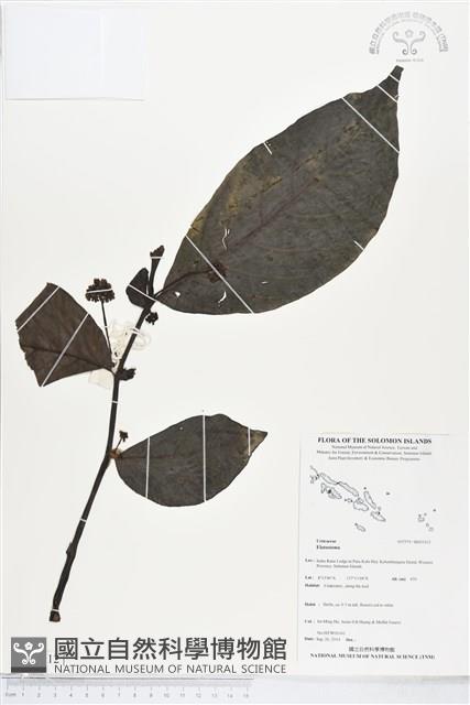登錄號:BS05312藏品圖，第1張