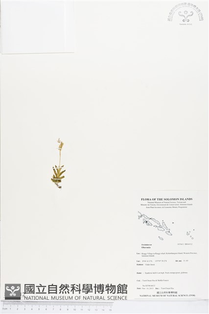 登錄號:BS04312藏品圖，第1張