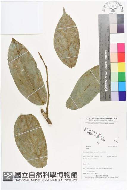 登錄號:BS07312藏品圖，第1張
