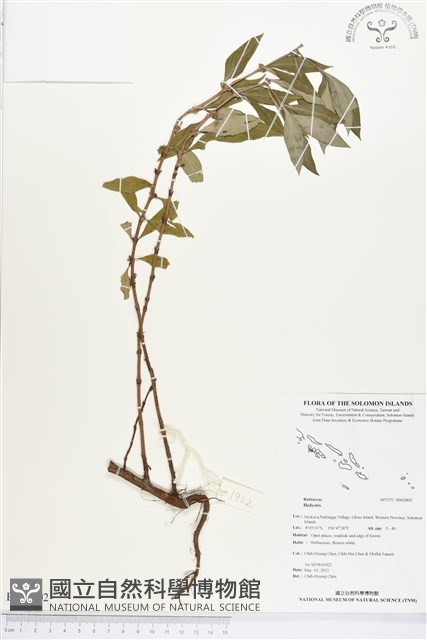 登錄號:BS02802藏品圖，第1張