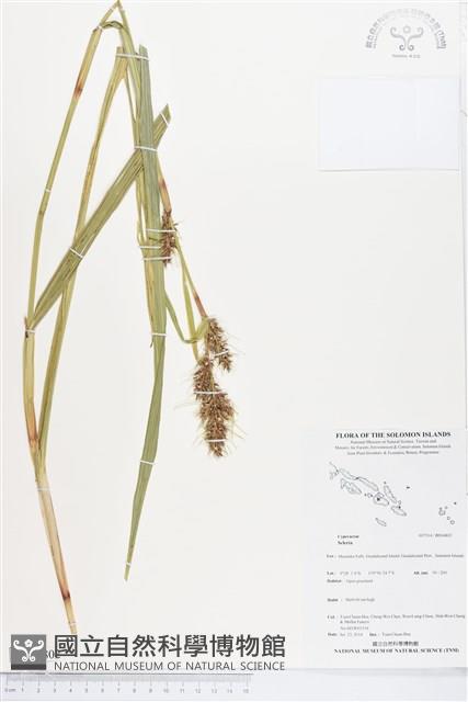 登錄號:BS04802藏品圖，第1張