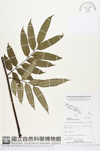 登錄號:BP02002藏品圖，第1張