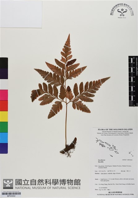 登錄號:BP03002藏品圖，第1張