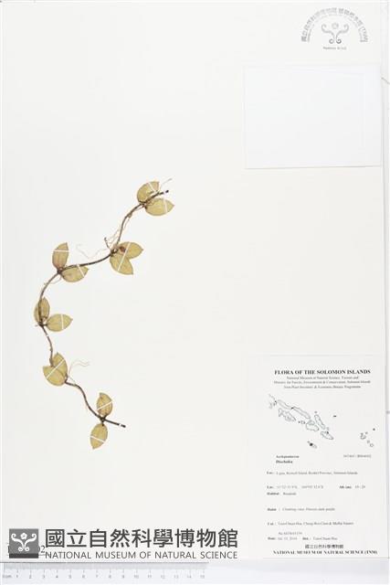 登錄號:BS04602藏品圖，第1張