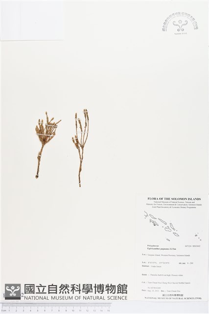 登錄號:BS03602藏品圖，第1張